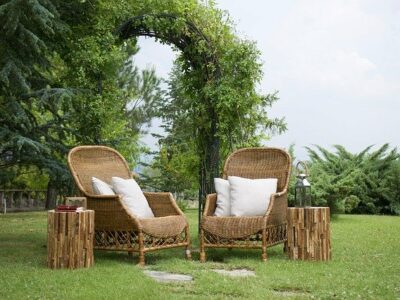 Bambou décoratif pour l’extérieur : un mélange pratique et écologique